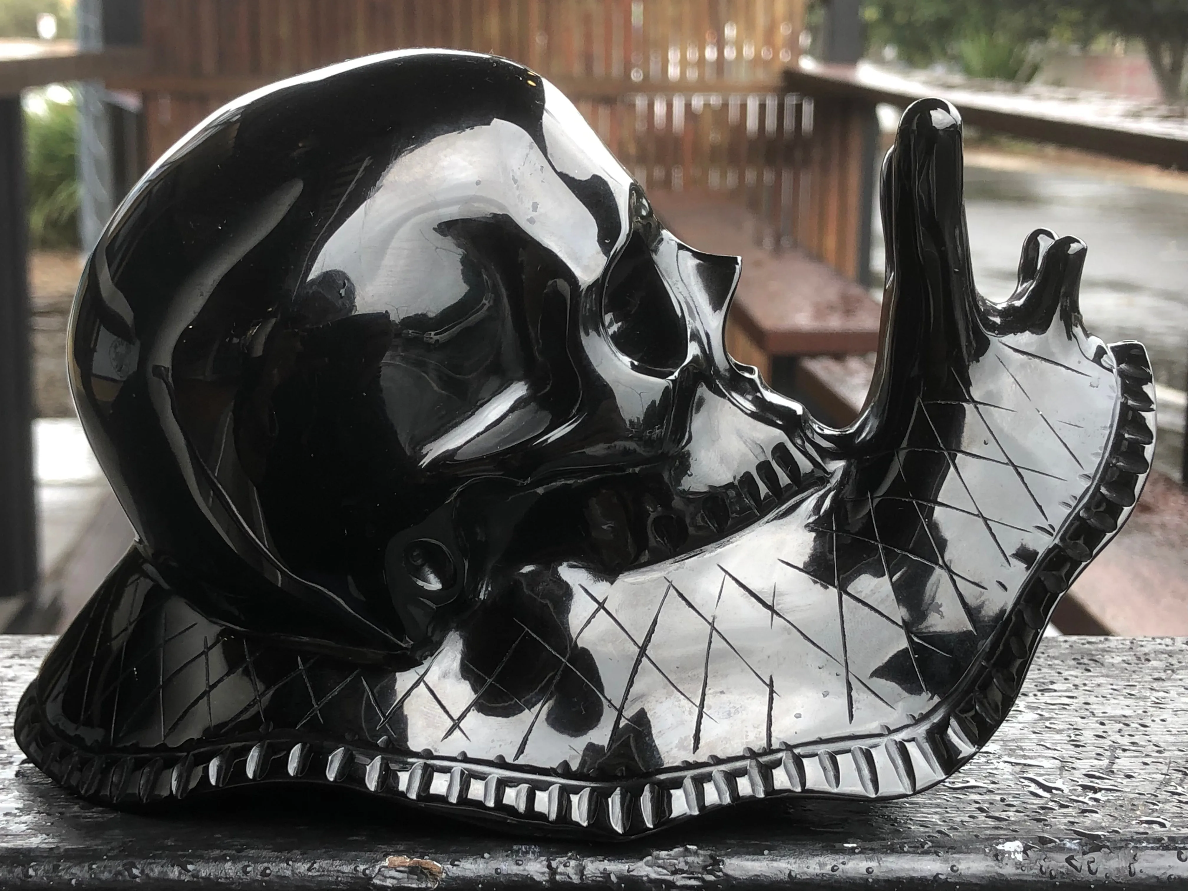 Black Obsidian Skull Snail [1k1297]