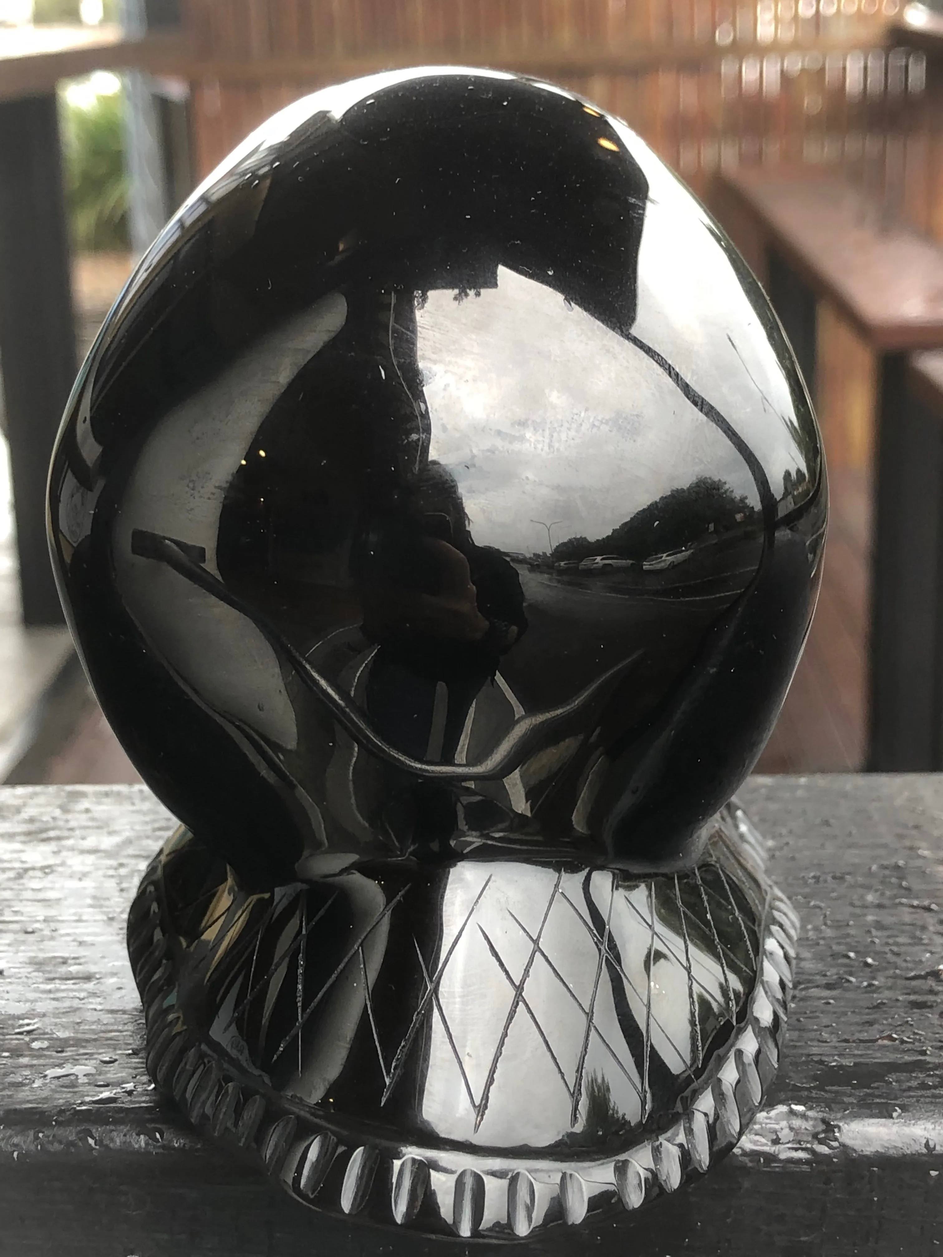 Black Obsidian Skull Snail [1k1297]