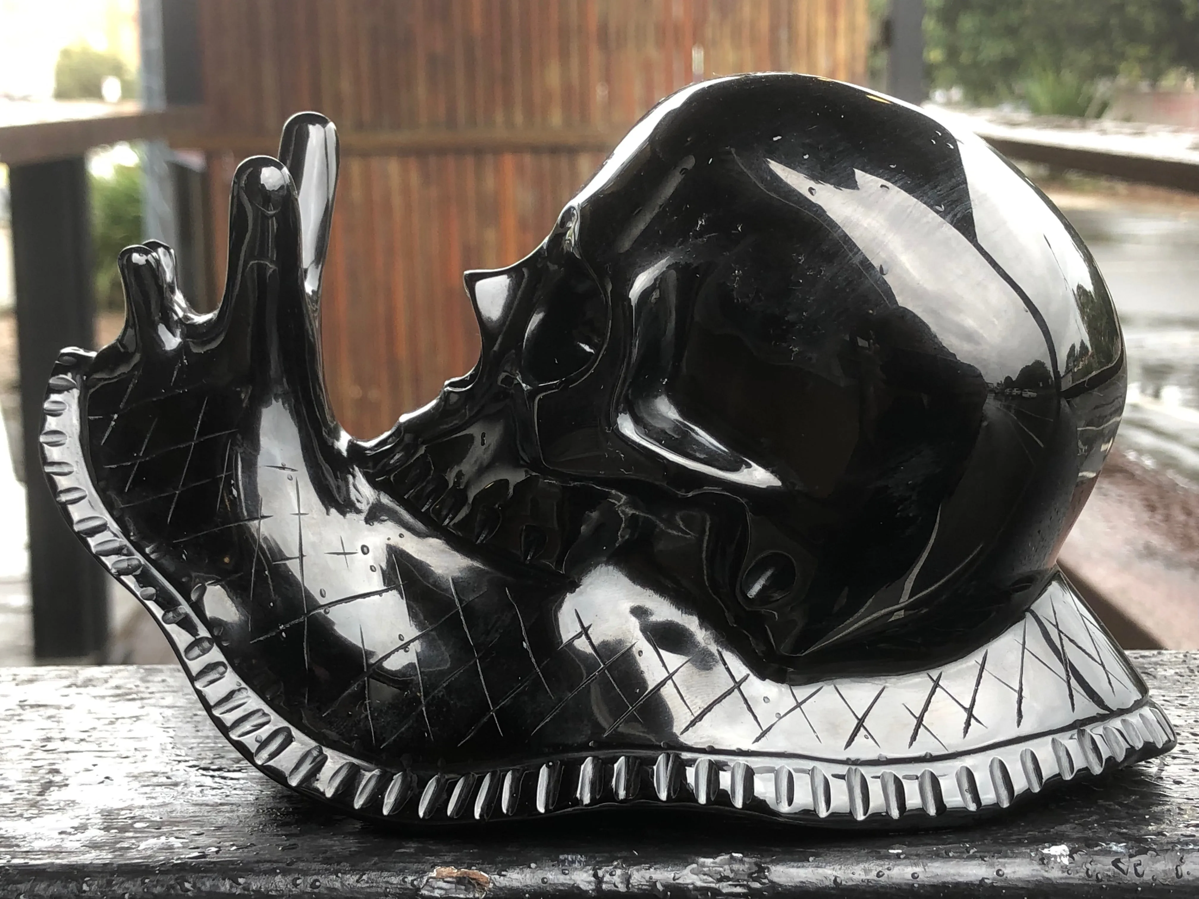 Black Obsidian Skull Snail [1k1297]