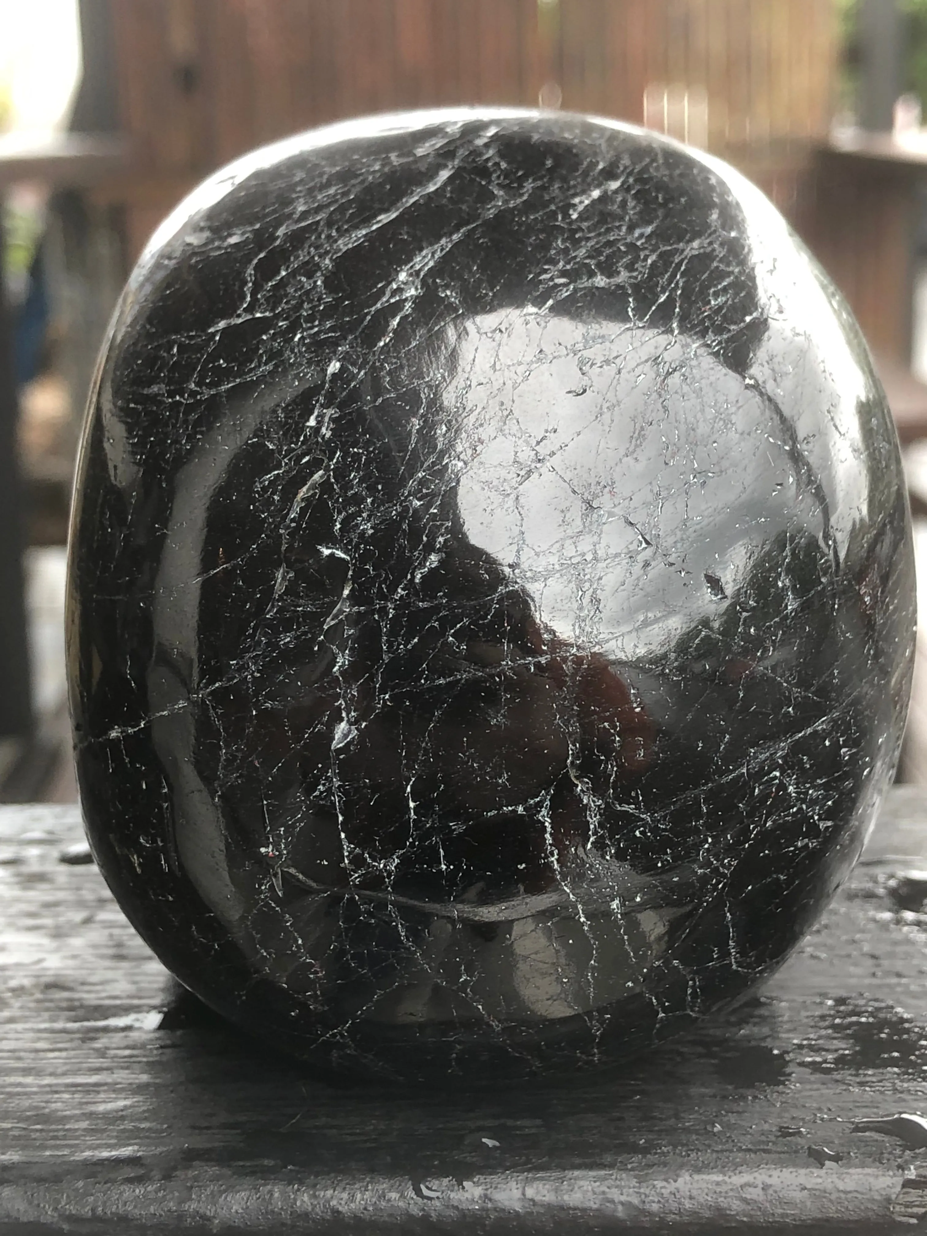 Black Tourmaline Skull [1k1237]