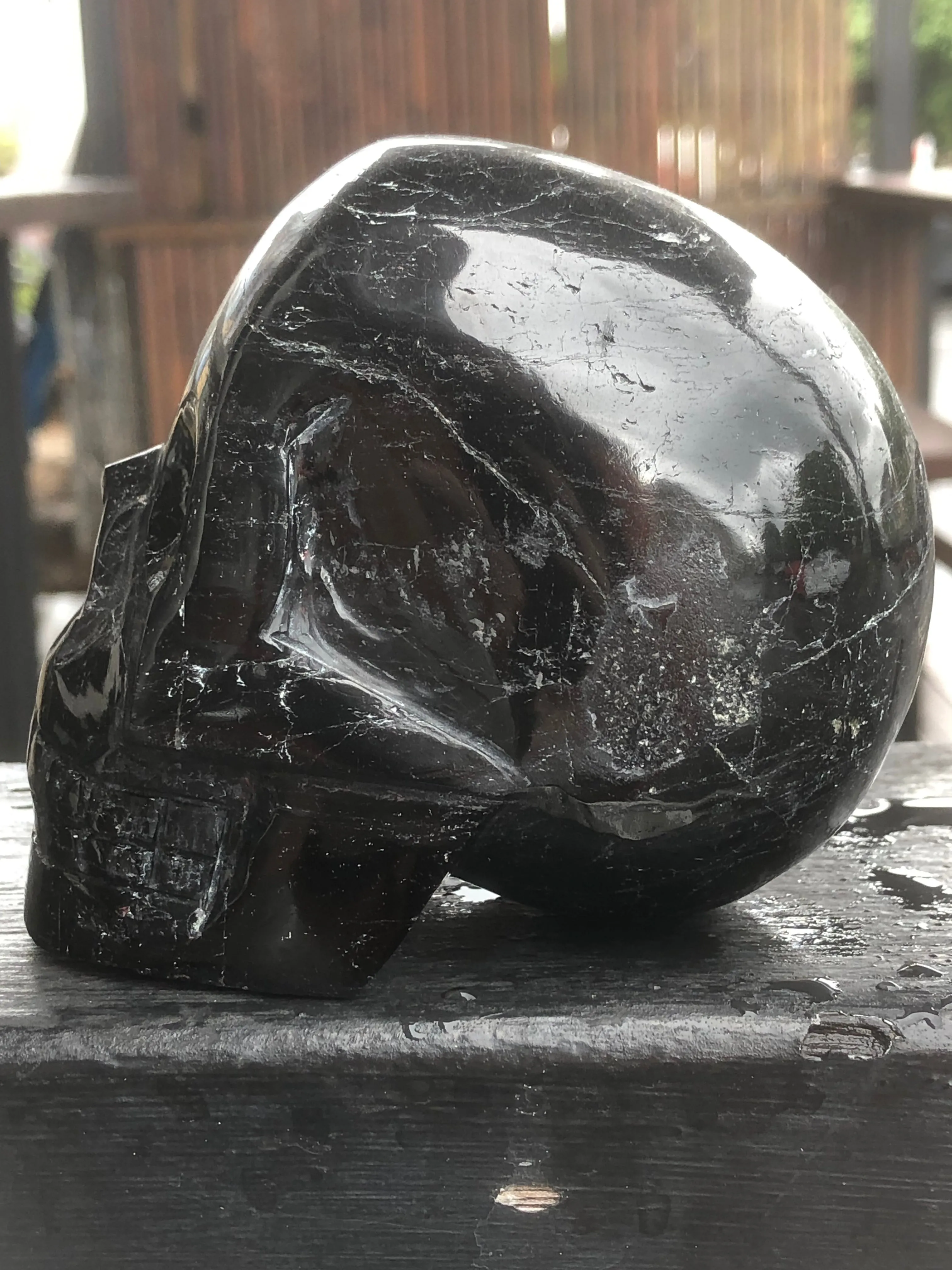 Black Tourmaline Skull [1k1237]