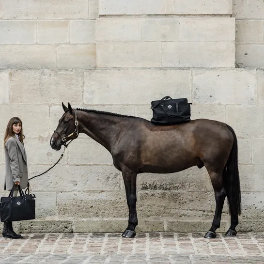 Chestnut Travel Bag