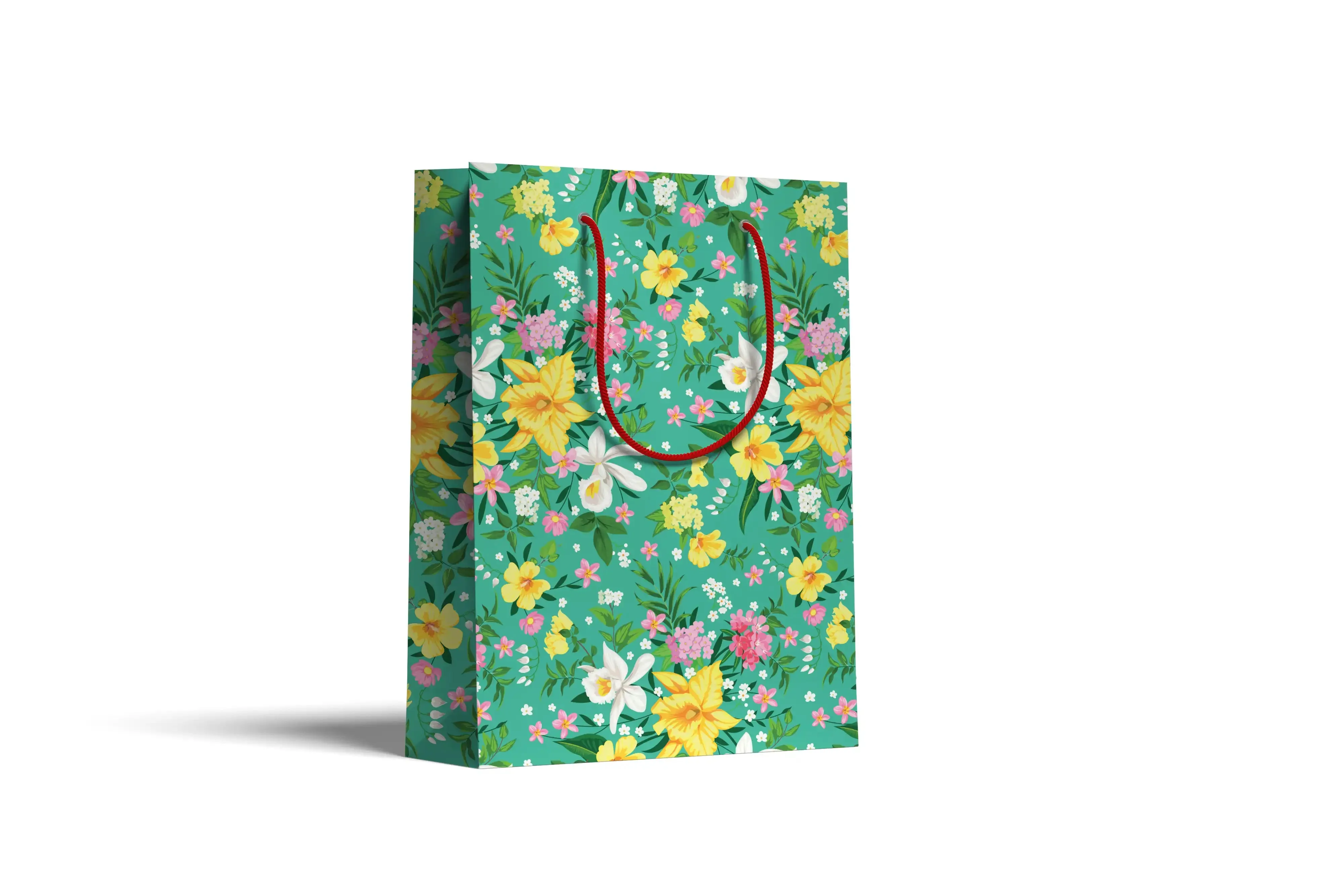 Gift bag (28.5x46)