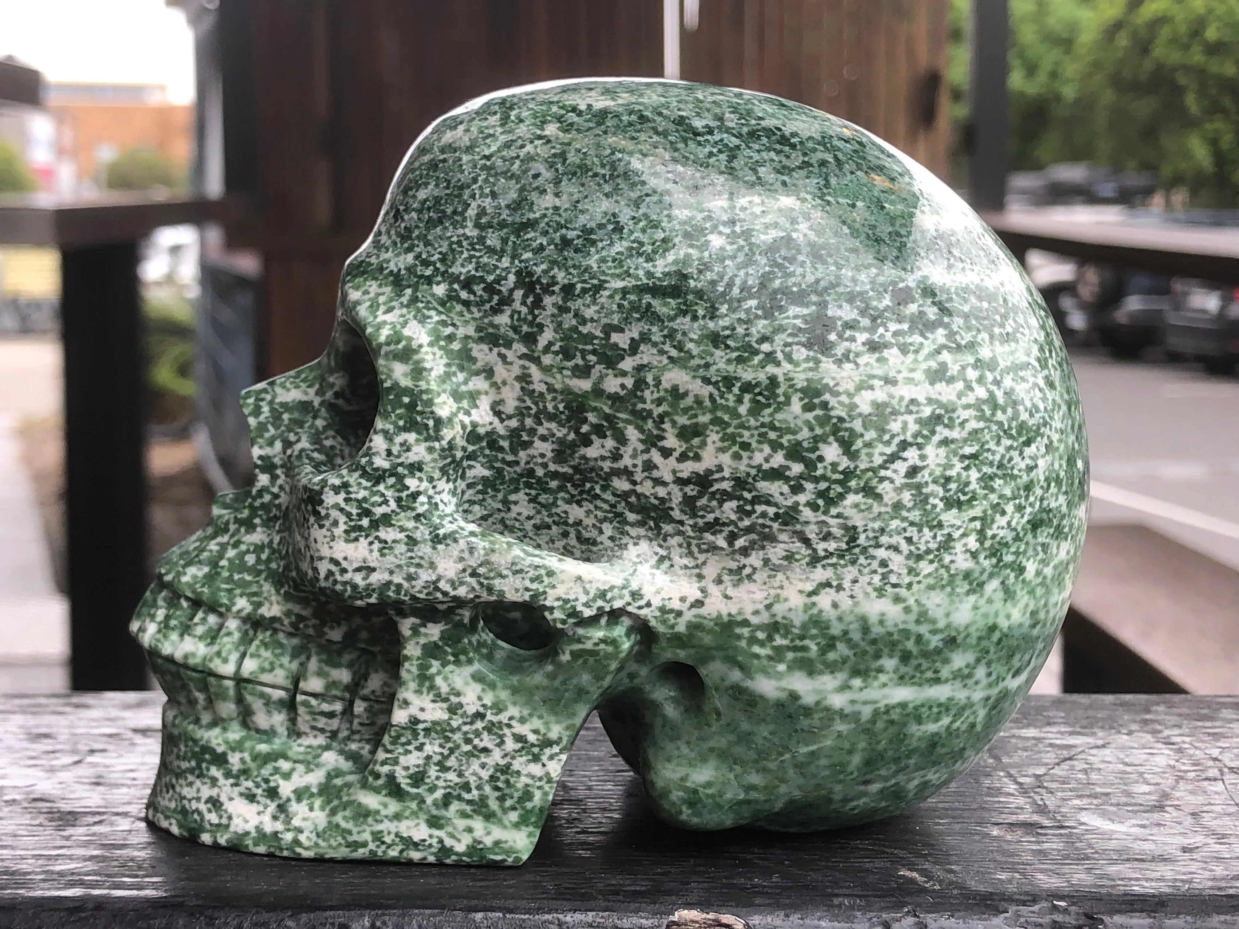 Hamine Jasper Skull [1k1596]