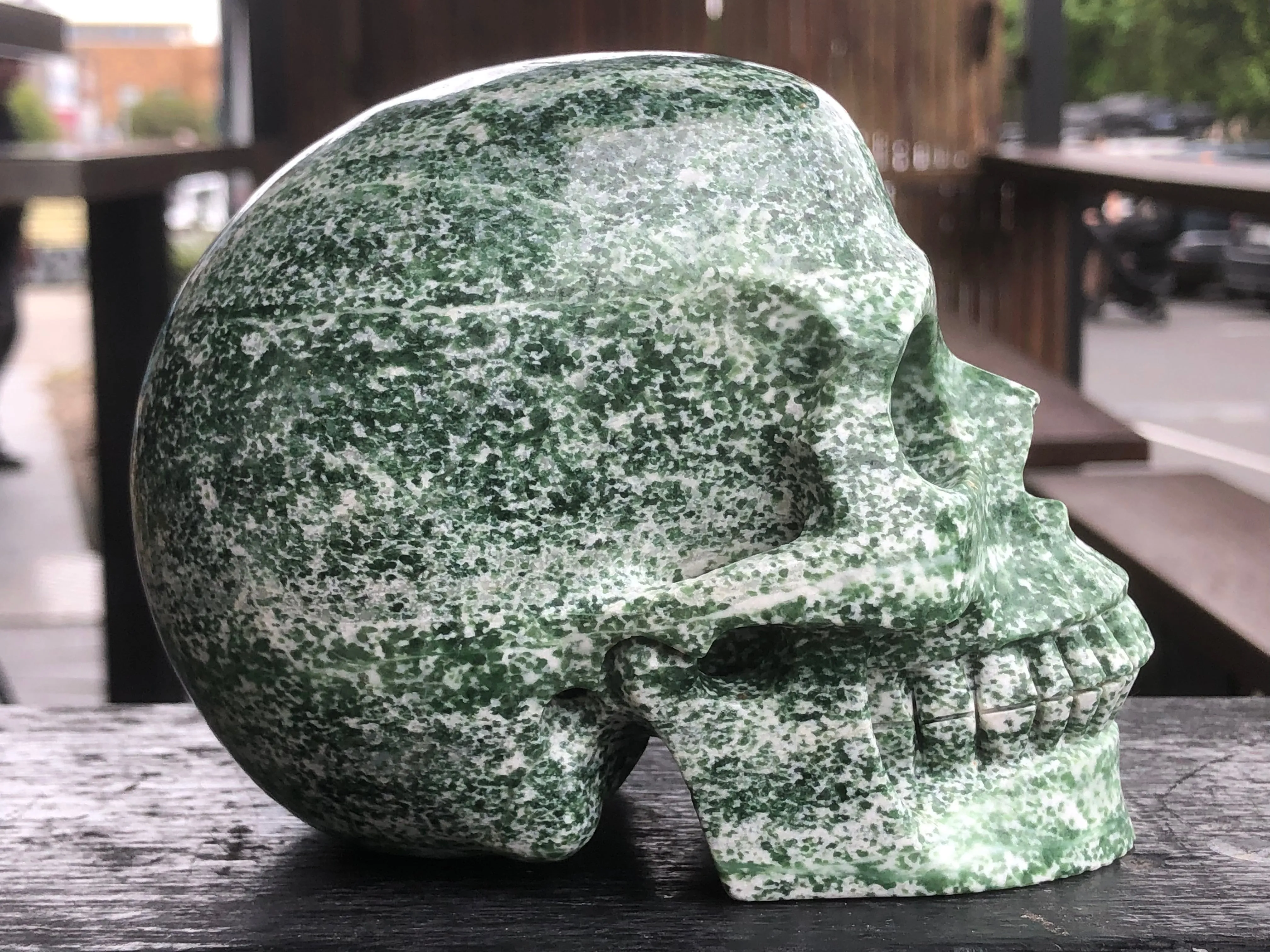 Hamine Jasper Skull [1k1596]