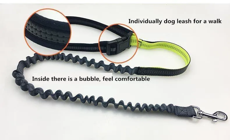 Handsfree Bungee Dog Leash with Waist Bag