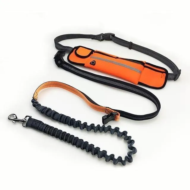 Handsfree Bungee Dog Leash with Waist Bag