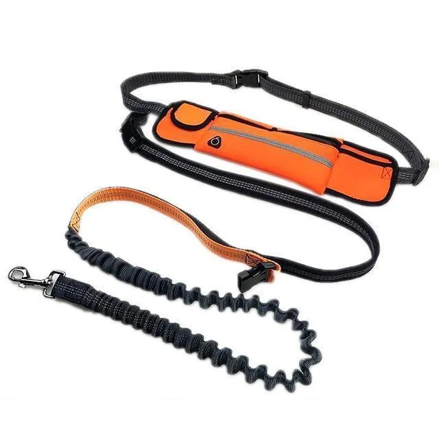 Handsfree Bungee Dog Leash with Waist Bag