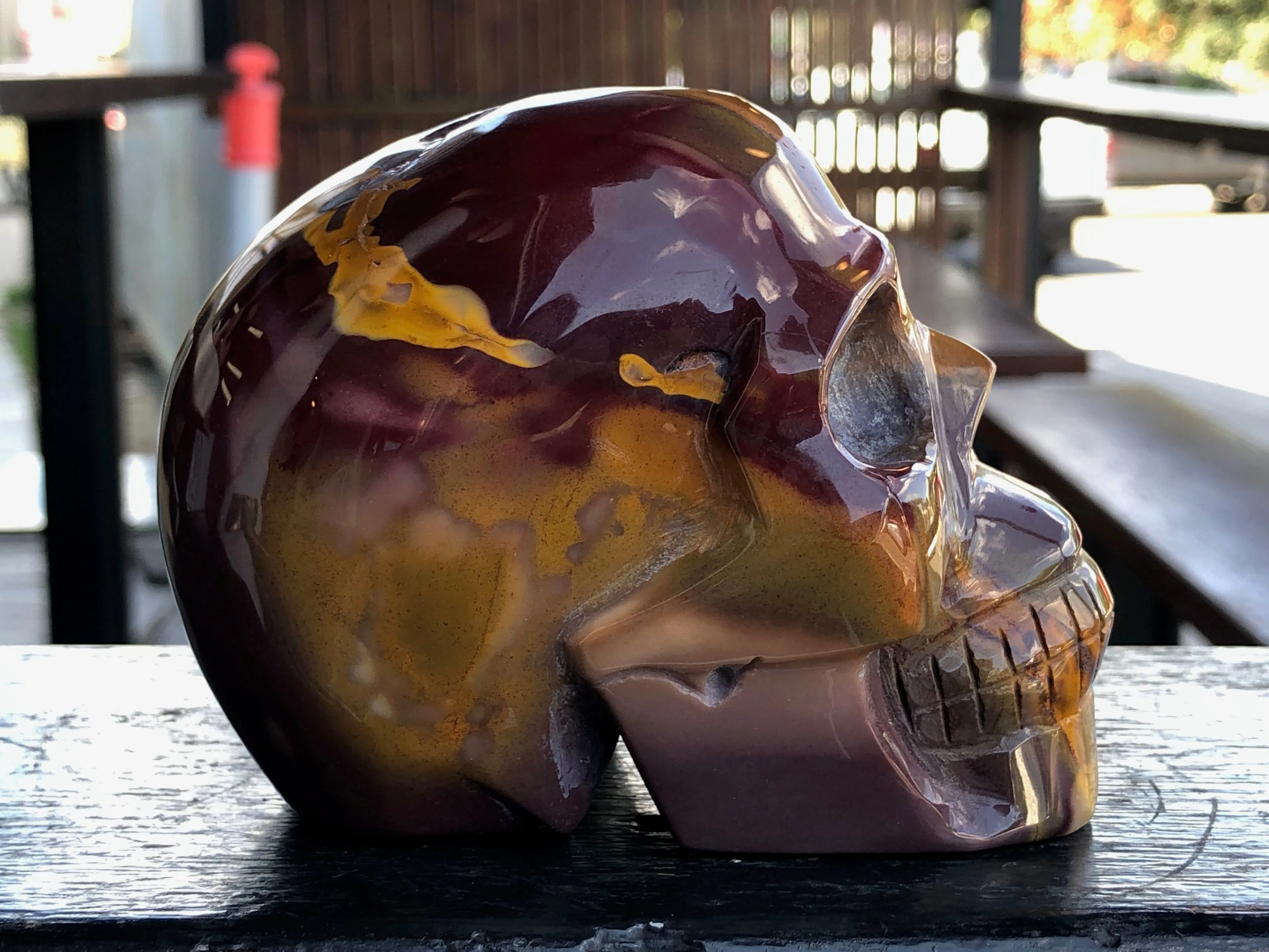 Mookaite and Black Obsidian 'Two Face' Skull [1k1040]