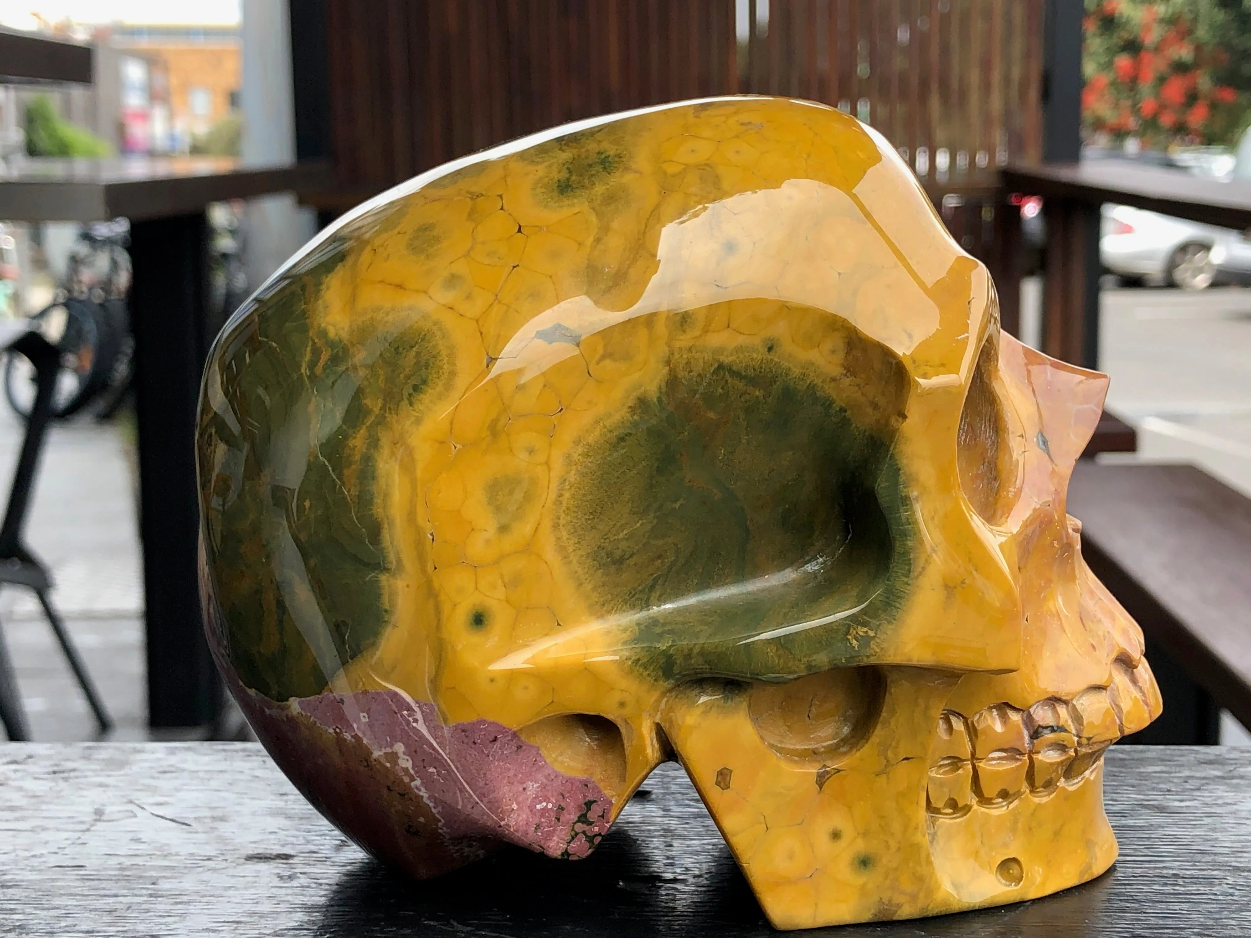 Ocean Jasper Skull [25V23]