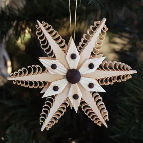 Ornament  - 6 Point Star Detail with Brown Accent