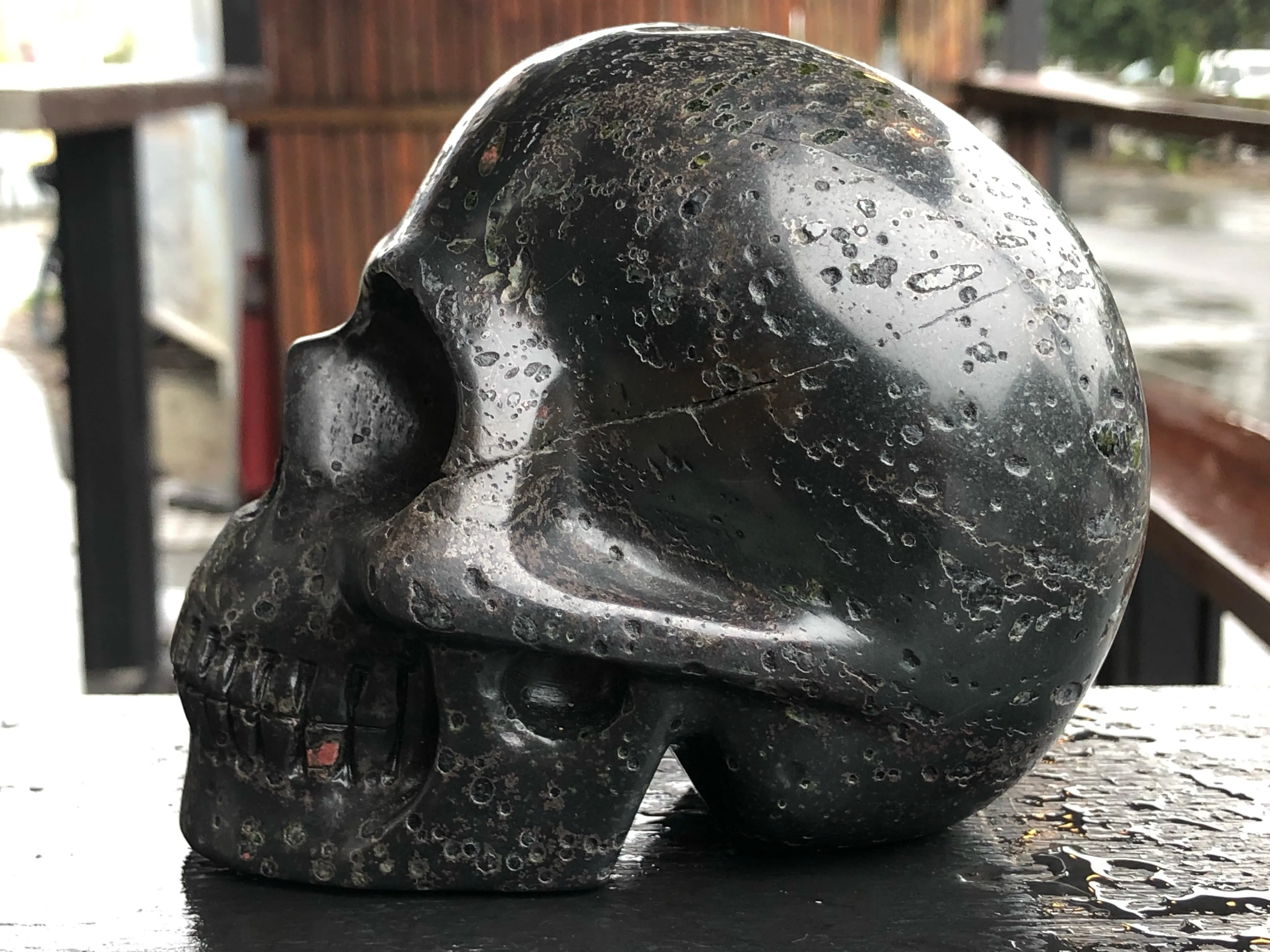 Plumite Jasper Skull [1k678]