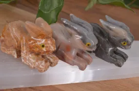 Rabbit Soapstone Steatite Carving