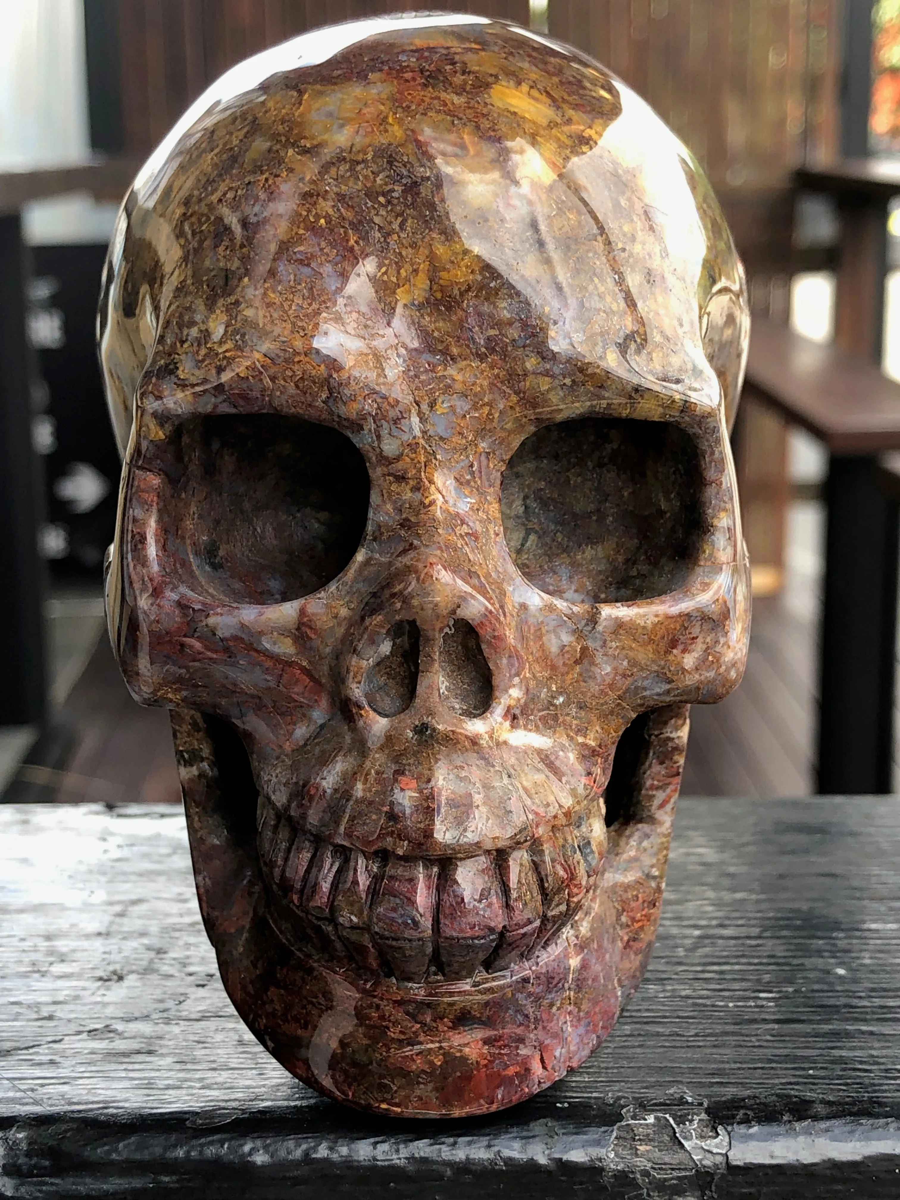 Red and Gold Pietersite Skull With Spine [1k30]