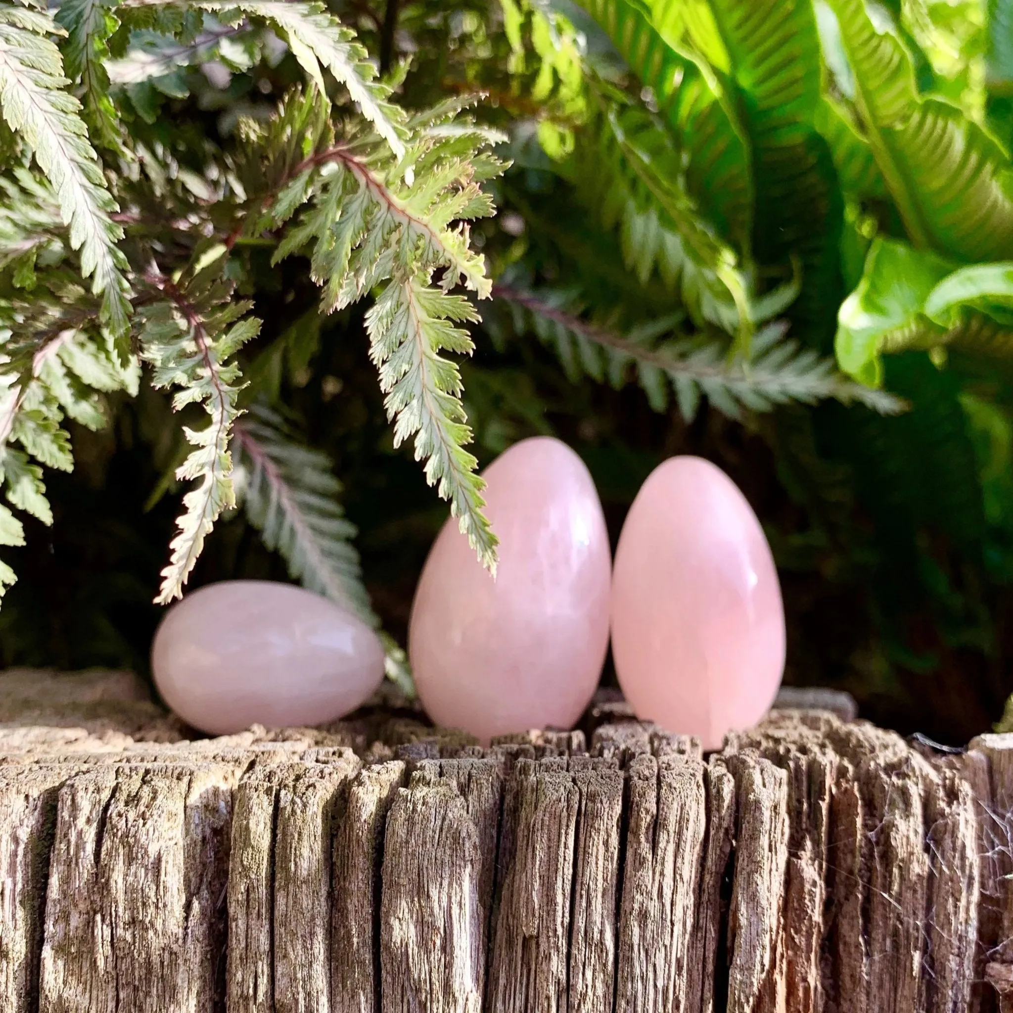 Rose Quartz Yoni Eggs - Drilled