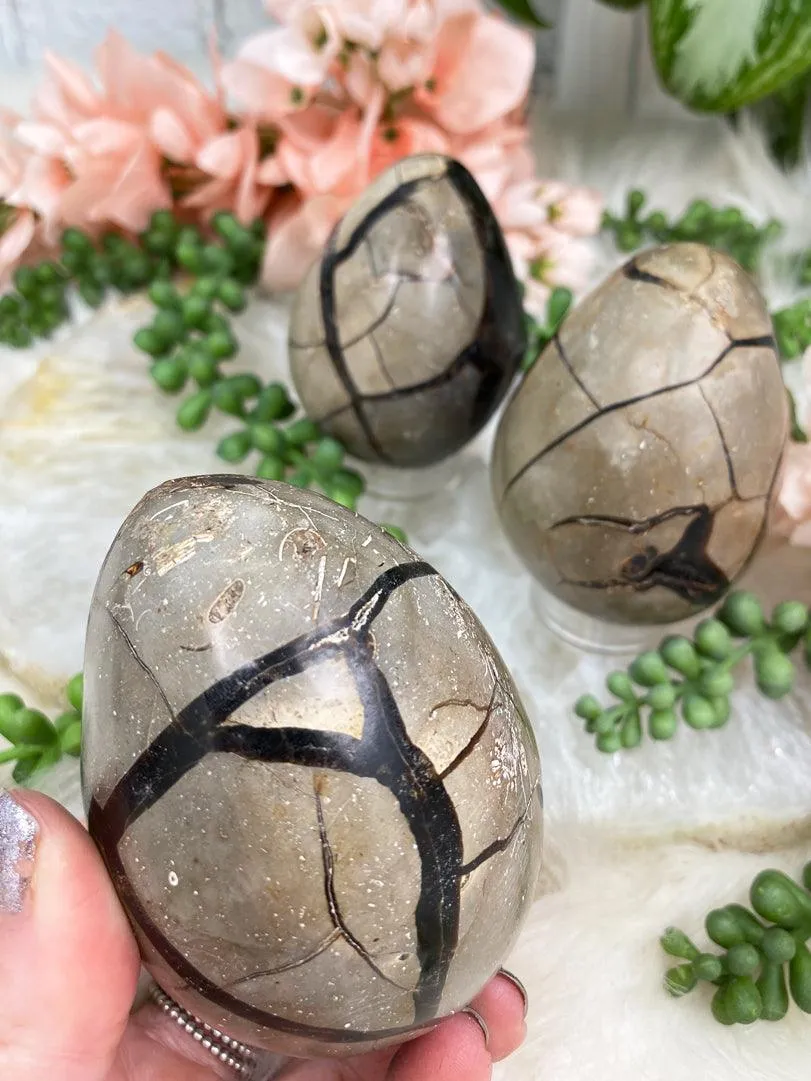 Septarian Eggs