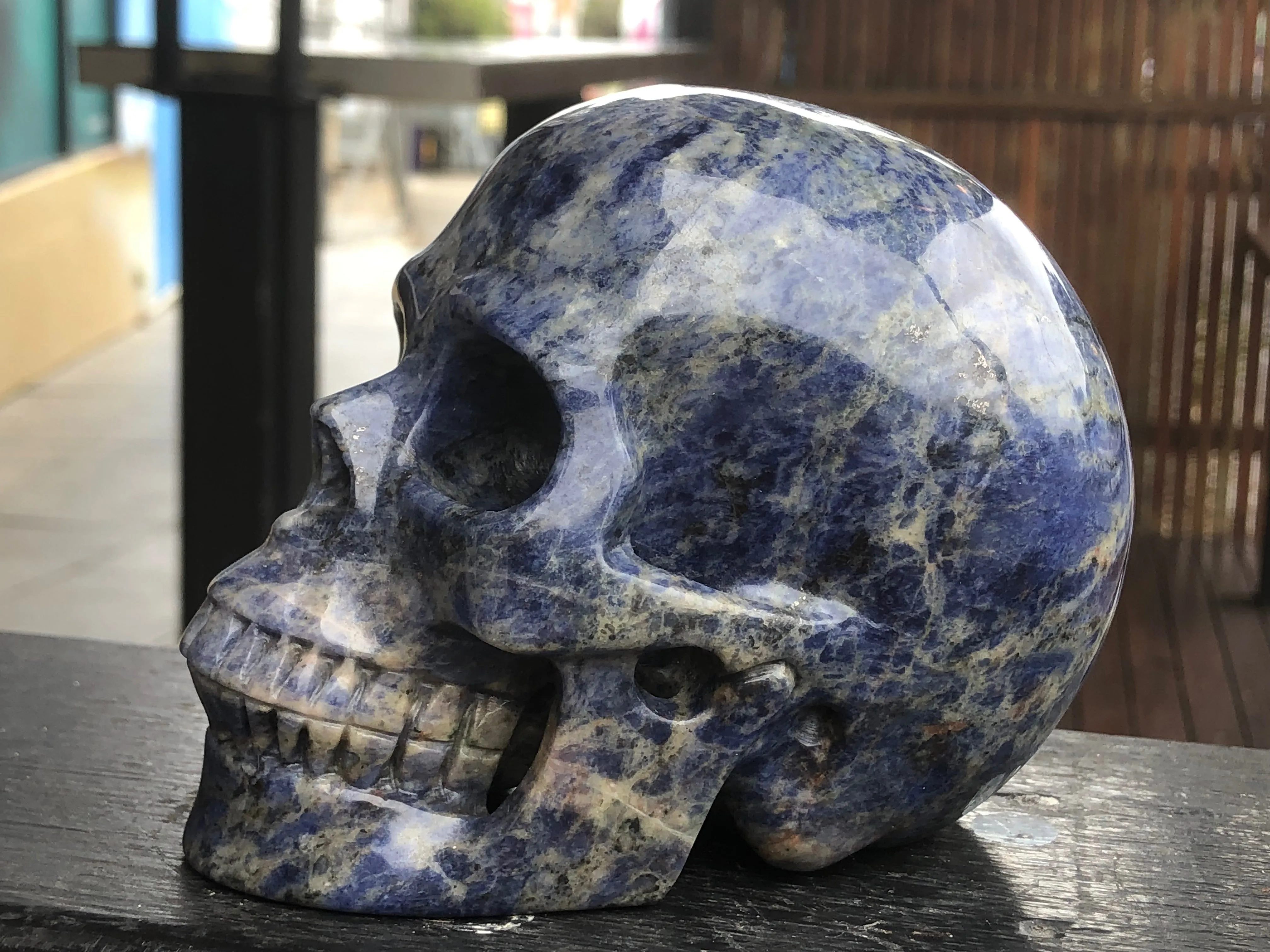 Sodalite Skull [1k1175]