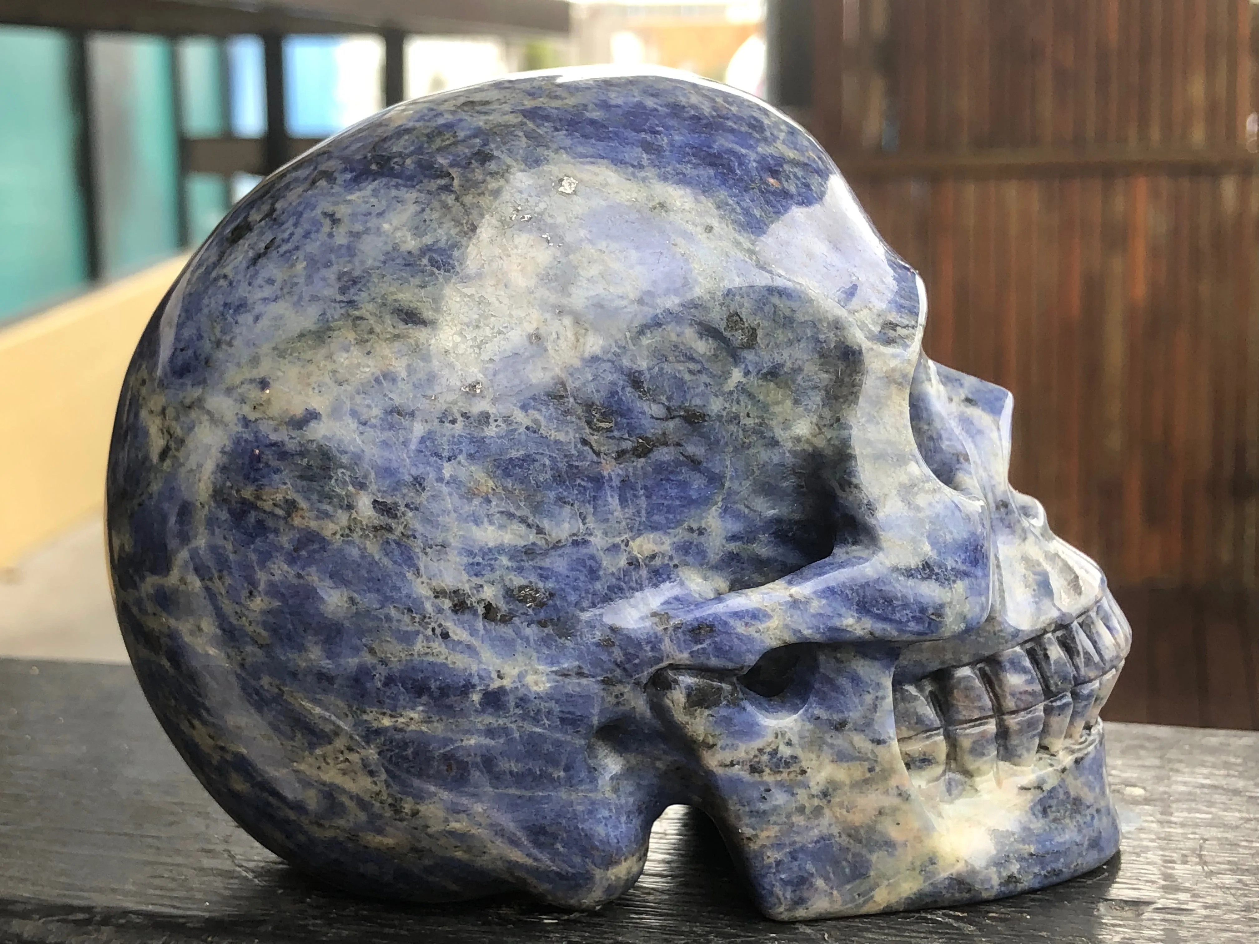 Sodalite Skull [1k1175]