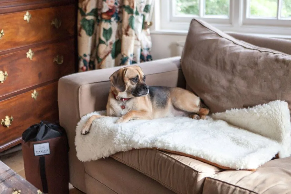 Travel Dog Beds