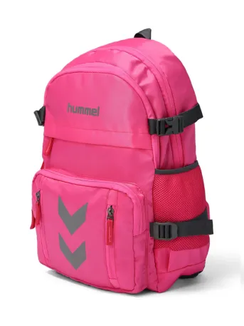 Urban Explorer Pink Laptop Backpack